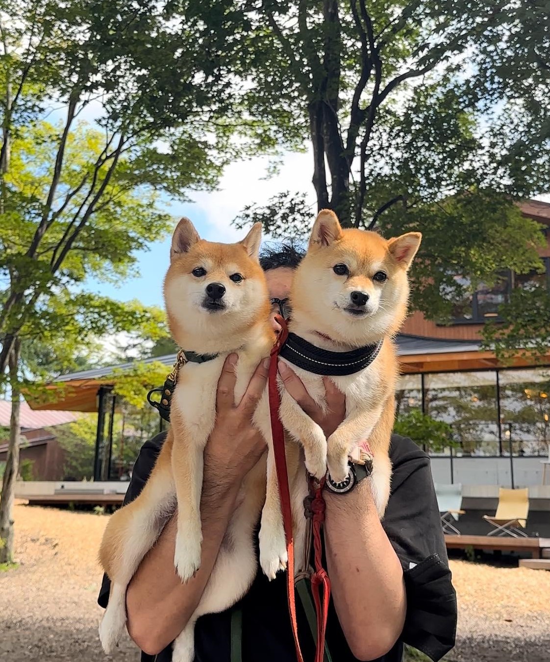 にこちゃん たまちゃん