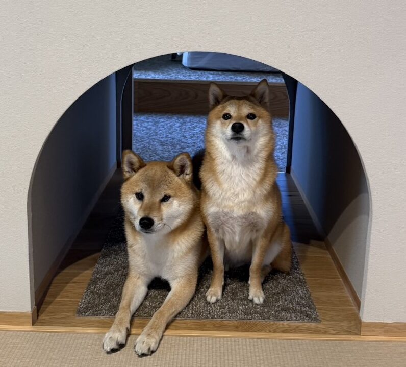 福ちゃん 富くん