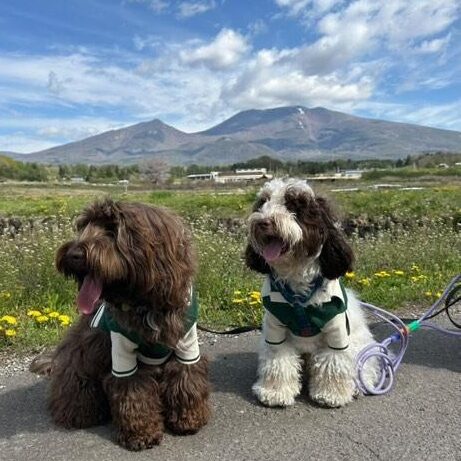 エビスくん グリくん