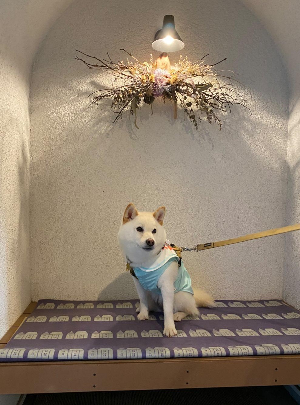 恋幸ちゃん