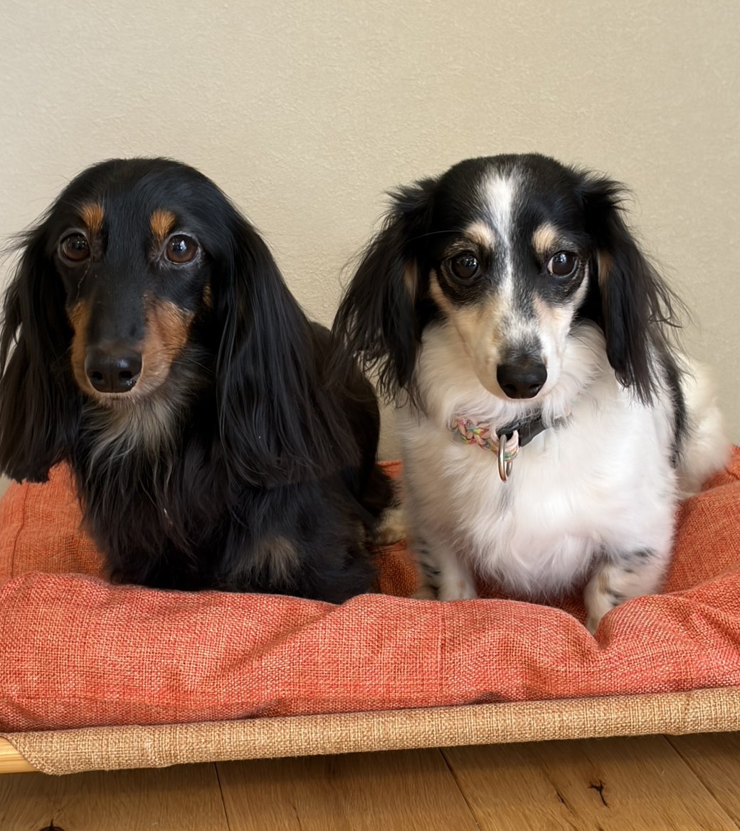 小太郎くん はなちゃん